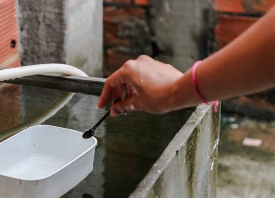 Quinto LIRAa do ano identifica um município sergipano com alta infestação do Aedes aegypti