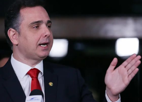 Rodrigo Pacheco, ex-presidente do Senado, será ministro do TCU