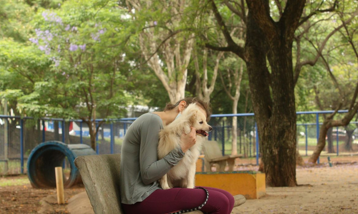 Setembro Amarelo: como o vínculo com os animais pode ajudar em momentos de sofrimento emocional