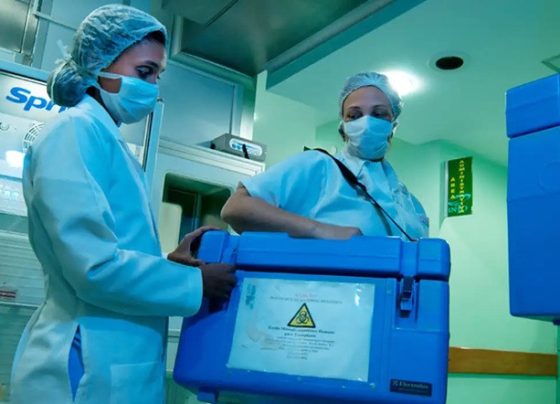 Taxa média de recusa de doação de órgãos pelos familiares é 45%