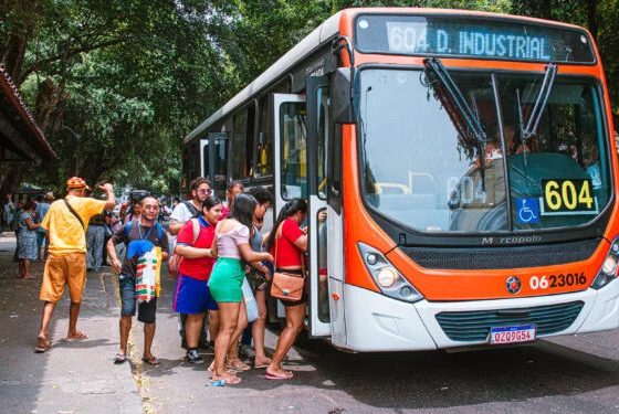 Transporte de eleitores: veja o que é permitido e o que é proibido