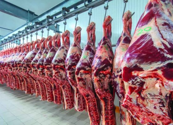 UE diz confiar em esforços do Brasil para retomar exportação de carne