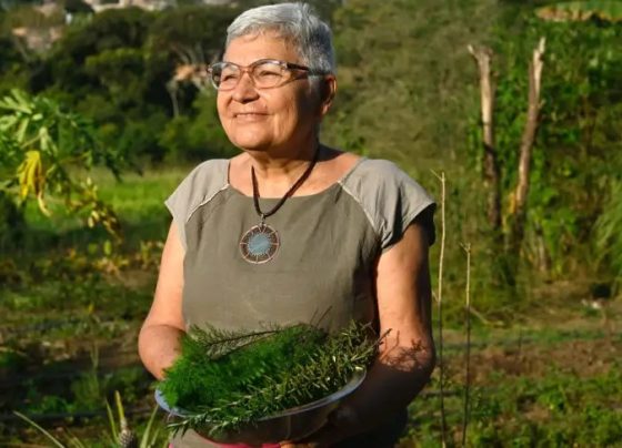Agricultora transforma plantas do Cerrado em autonomia e renda