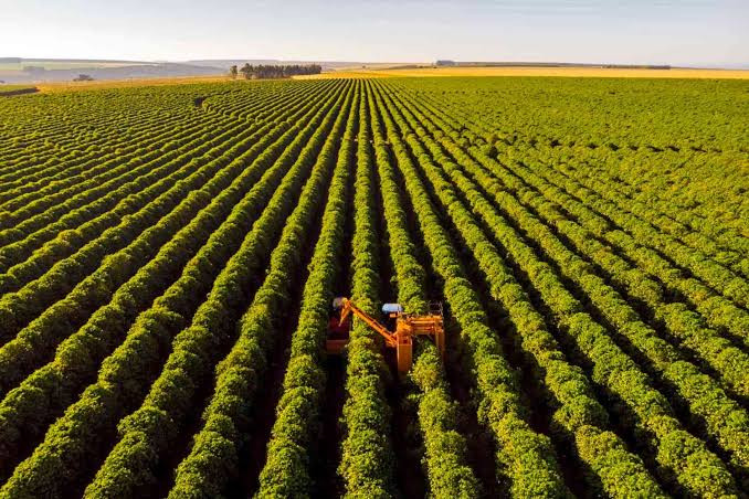 Aprovação do fim da escala 6×1 pode desencadear riscos ao agronegócio brasileiro