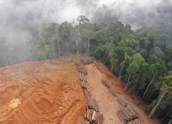 Aquecimento global: ONU admite fracasso de meta e emite alerta