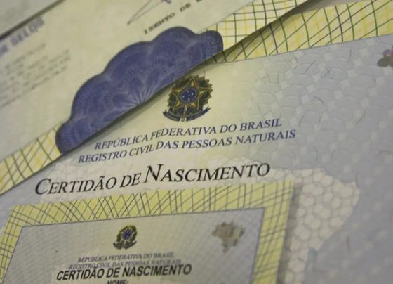 Conheça os instrumentos de planejamento sucessório