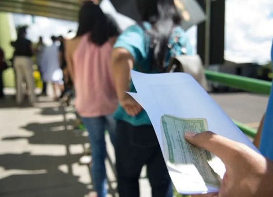 Eleições 2026: camiseta, adesivo, bandeira: o que pode usar para votar