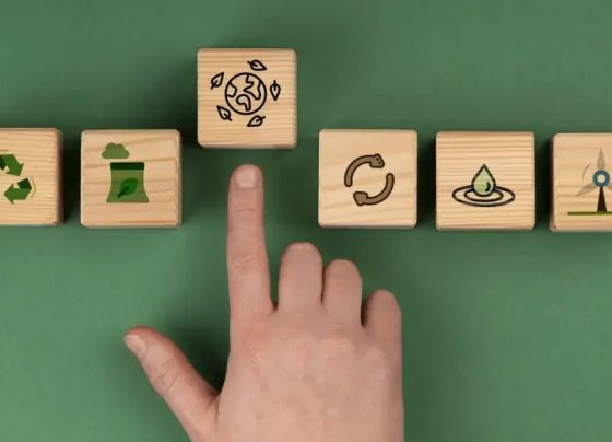 Inteligência artificial ajuda pequenos negócios a melhorar práticas ESG