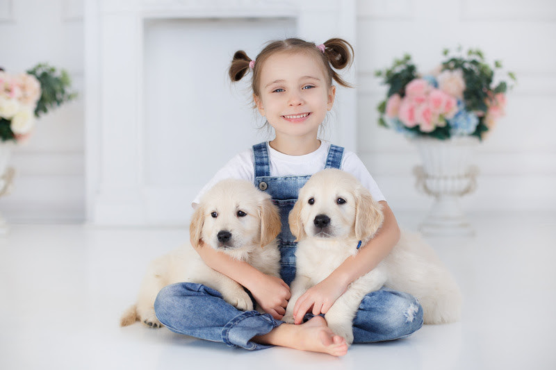 Interação com cães e gatos favorece a saúde física e mental das crianças