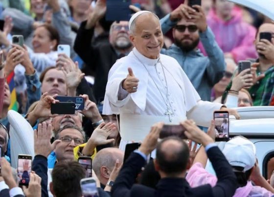 Papa é ovacionado na primeira aparição pública após retirada de câncer no pulmão