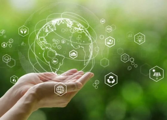 Plataforma Empreender Clima amplia acesso de micro e pequenas empresas à economia verde