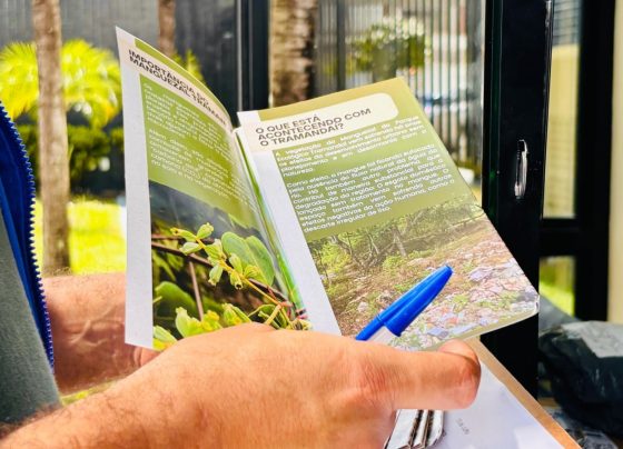 Prefeitura apresenta balanço de ações ambientais no entorno do Parque Tramandaí