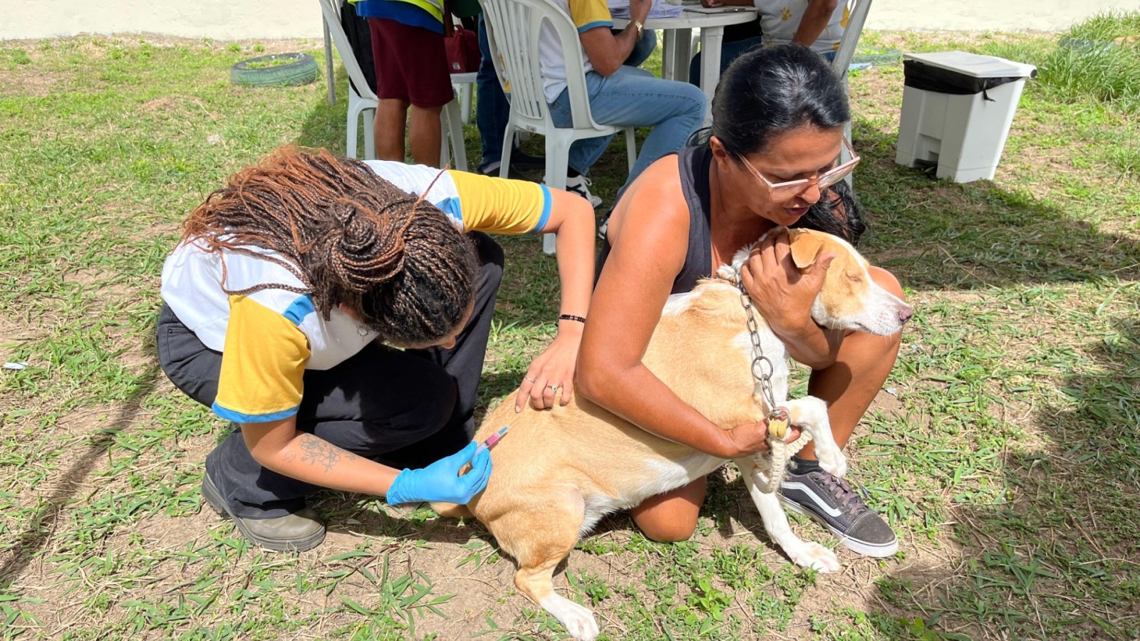Prefeitura de Aracaju inicia campanha de vacinação antirrábica na terça-feira