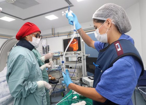 Procedimento inédito no Huse amplia capacidade de diagnóstico e tratamento de doenças biliares
