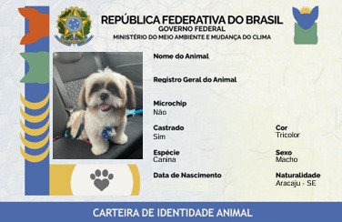 Sergipe tem 14,7 mil animais domésticos cadastrados no SinPatinhas