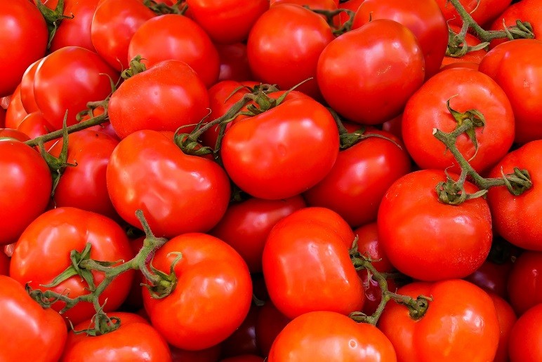 Tomate desafia padrão histórico de preços e surpreende na inflação de 2026