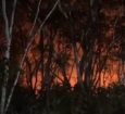 BOMBEIROS COMBATEM UM INCÊNDIO EM VEGETAÇÃO NOS FUNDOS DO HOSPITAL AMPARO DE MARIA, EM ESTÂNCIA