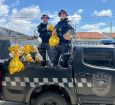 Guarda Municipal promove ação do Dia das Crianças no bairro 17 de Março