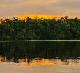 Patrimônio Mundial da Unesco, Amazônia Central protege mais de 6 milhões de hectares de floresta