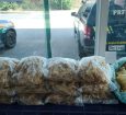 Polícia Rodoviária Federal e Ibama apreendem carga irregular de pescados na BR-101, em Estância